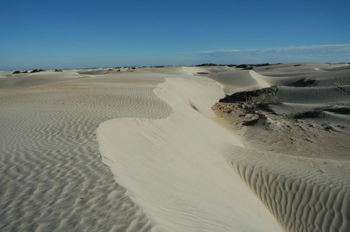 DSC_0008 dunes